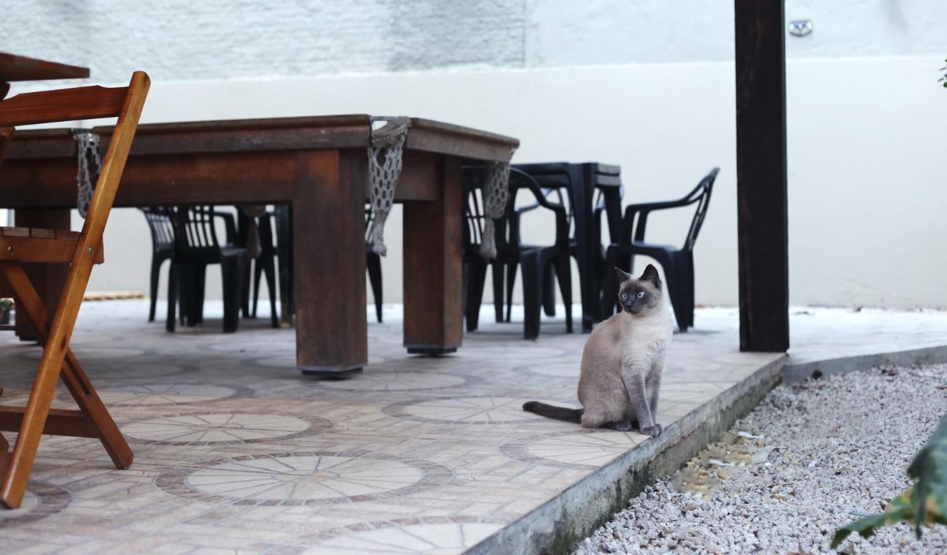 Sagui Hostel Florianópolis Εξωτερικό φωτογραφία
