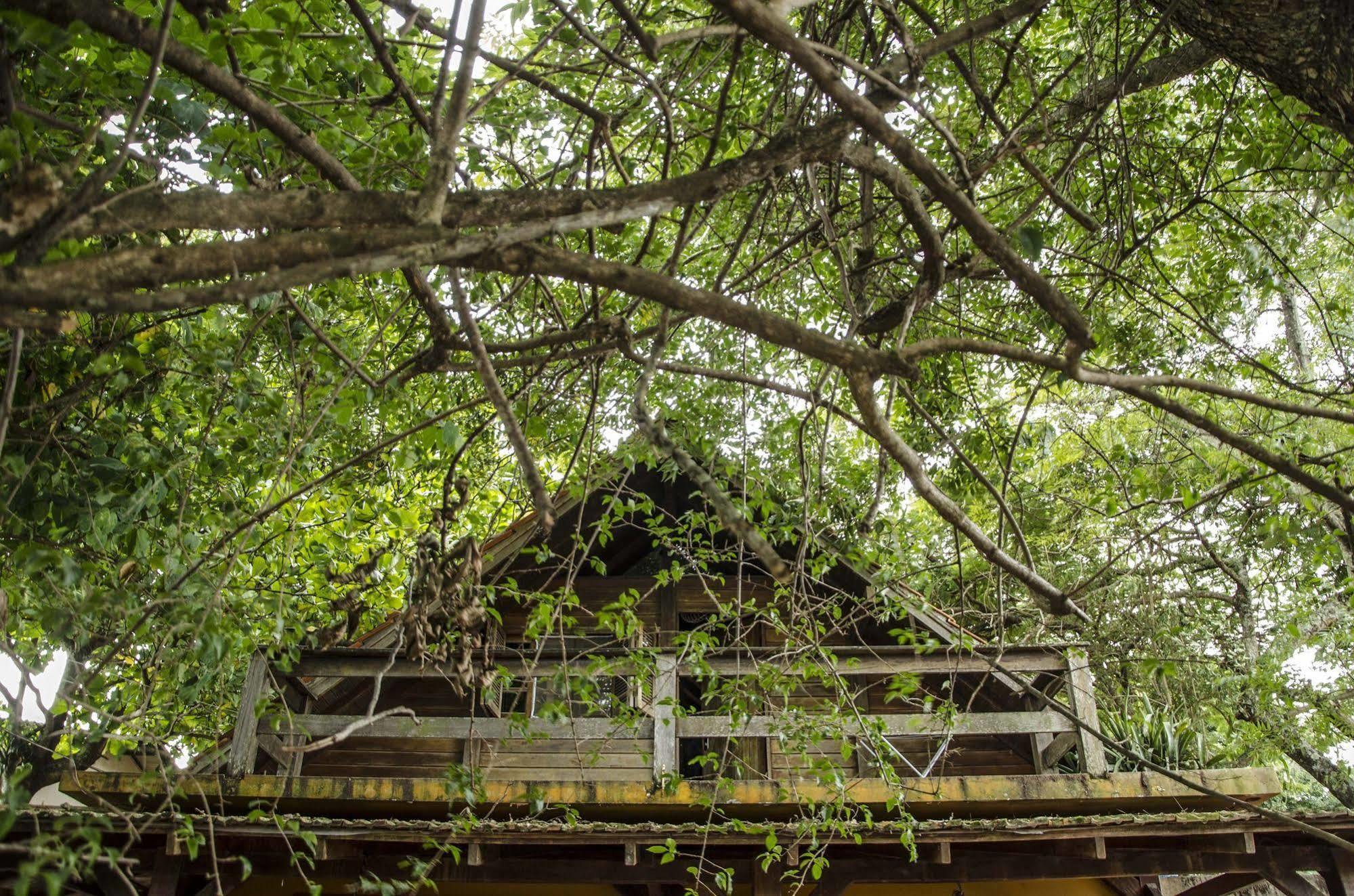 Sagui Hostel Florianópolis Εξωτερικό φωτογραφία